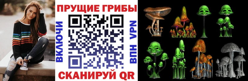 наркотики  Энгельс  Псилоцибиновые грибы MAGIC MUSHROOMS 