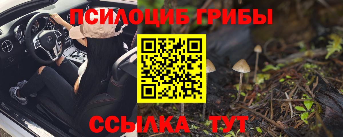 Галлюциногенные грибы Cubensis Энгельс
